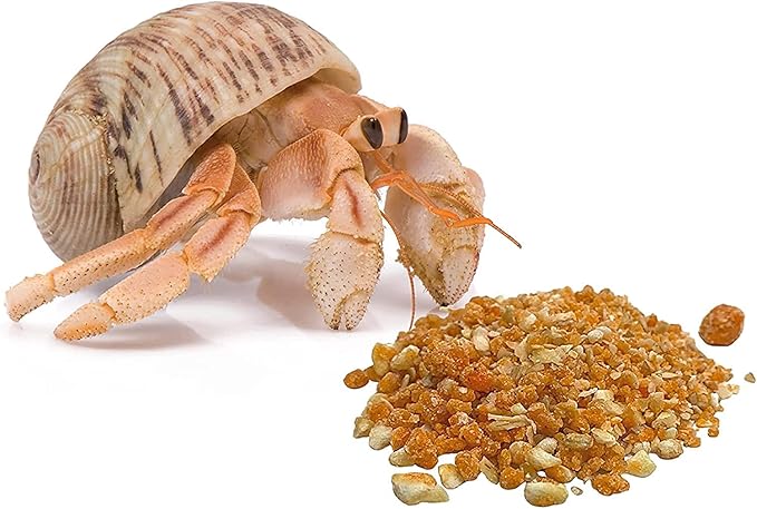 Needzo Hermit Crab Habitat and Food Kit, Starter Pack for Large Travel Cage with Lid, Food, Coral, Treats, and Thermometer, Colors May Vary, 7pc, 12 inches