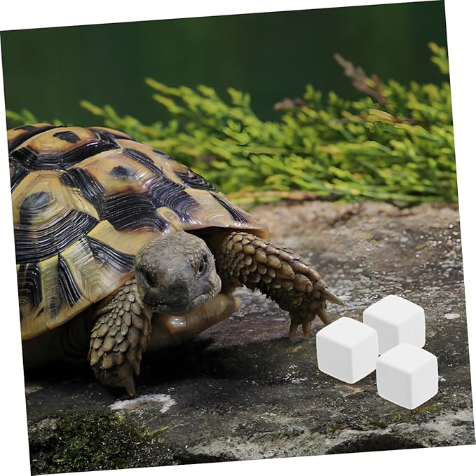 SUPVOX 12Pcs Natural Pet for Reptile Habitats Safe for Crabs Supports Health Digestion Reptile Accessories