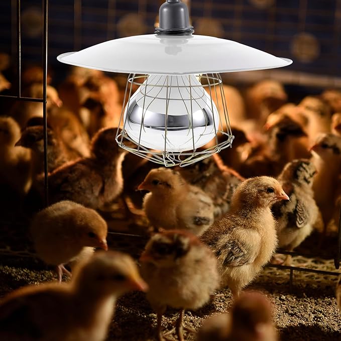 Milisten Brooding Heat Preservation Lamp Heating Poultry and Livestock Safe and Efficient Heat Source for Chicks Pregnant Animals and Newborns
