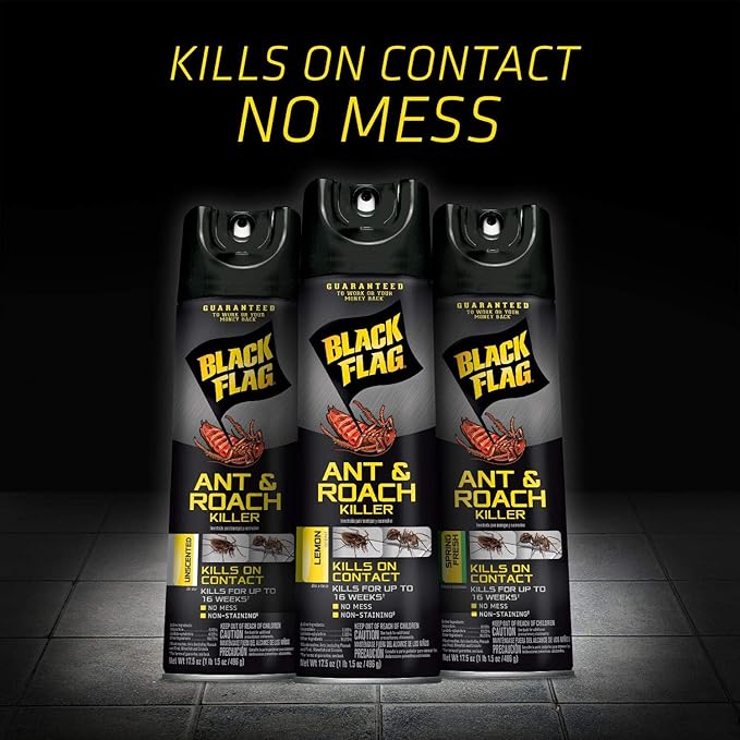 Black Flag Ant & Roach Killer Aerosol, Unscented, 17.5-Ounce, 12-Pack