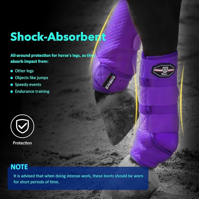 Harrison Howard Horse Sport Medicine Front Shock-Absorbing Boots All-Round Lower Limb Protection & Support Sport Boots Perfect for Endurance Training and Performance Pack of 2 Regal Purple XL