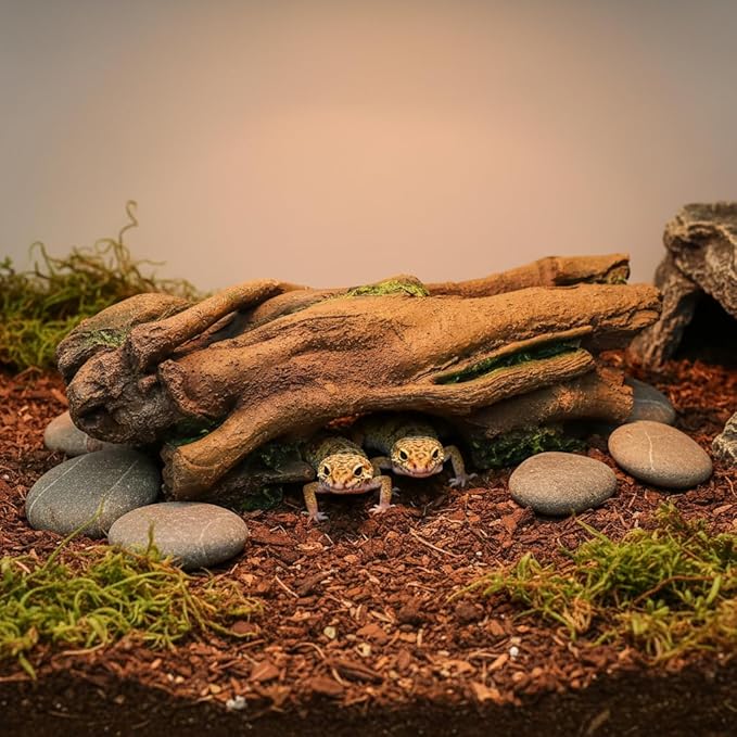 JIHAQUA Aquarium Resin Bark Terrarium Decor, Lizard, Snake or Reptile Hide,Lizard, Spider and Aquarium Fish Hide Cave (Large Bark B)