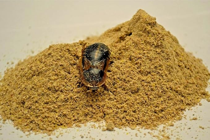 25 lb. Bulk Roach & Cricket Chow – Balanced Protein, Calcium-Fortified Diet by Five-Star Feeders – 5-Gallon Bucket