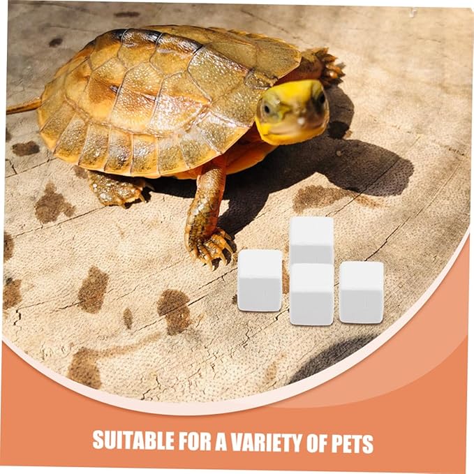 Totority 12pcs Natural for Reptiles and Teeth Grinding Aid for Crabs Lizards and Other Pets for Reptile Enclosures and Habitats