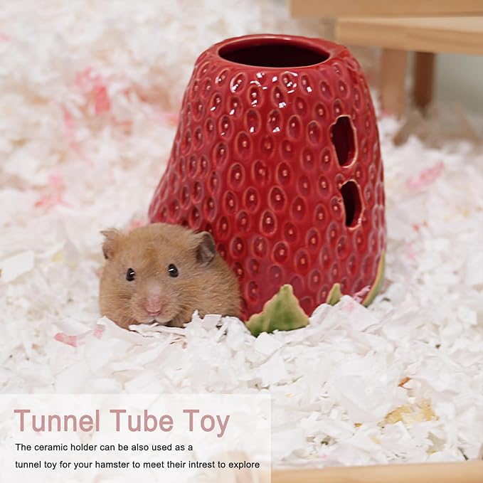 Hamster Water Bottle, Strawberry Ceramic Hamster Gerbil Water Bottle for Glass Tank, Dispenser, 80ML Bottle for Water Holder Stand with 2 No Drip Caps for Syrian Mice, Gerbil