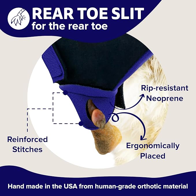 Chicken Shoes for Injured Feet – Protective Neoprene Footwear for Chicken, Open-Toe Design for Bumblefoot Relief, Made in USA - Large, 4" Max. Inside Width, Royal Blue