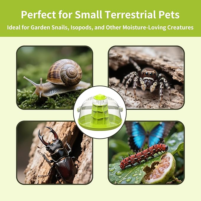 Small Animal Carrier — Round Transparent Snail Terrarium Kit for Kids, Portable Insect Habitat with Air Vents, Removable Base & Handle for Snails, Beetles, Spiders, Ladybugs