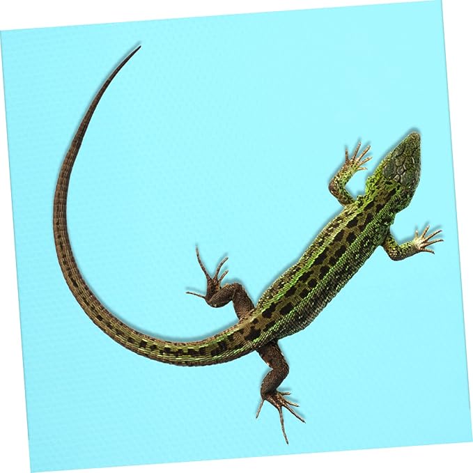 Reptile Terrarium Carpet Non- Substrate for Bearded Dragons Geckos Snakes and Tortoises Washable Lightweight and Portable Bedding for Reptile Tanks