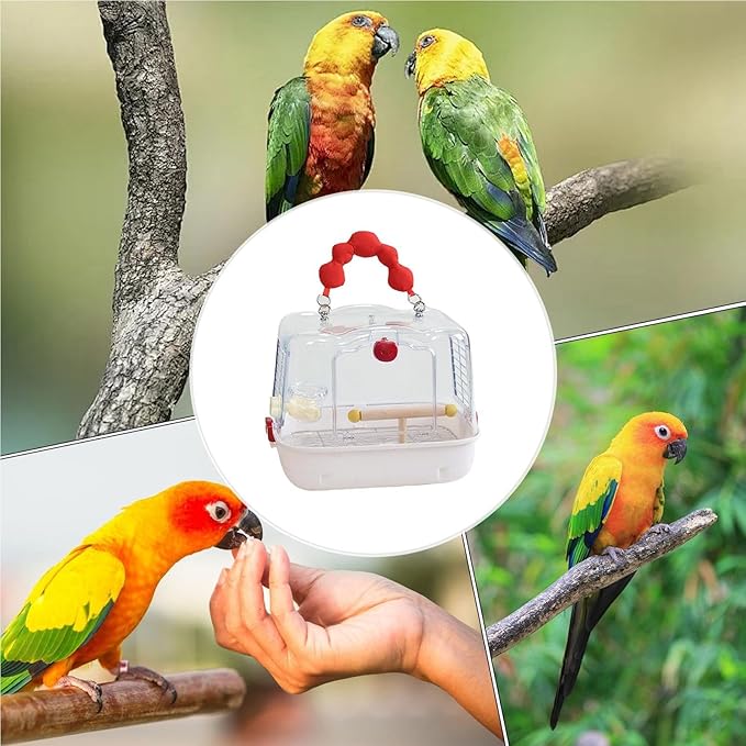 Genérico Bird Carrier: Transparent Avian Transport Backpack, Breathable Visualization Transport, Lightweight Mobility Equipment | Small Bird Tours Walks Travel