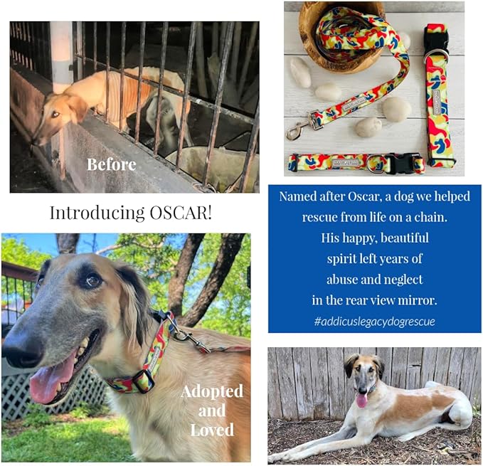 Lucky Love Dog - Adjustable Dog Collar and Leash Set with Easy Click Buckle for Small Dogs, Durable, & Comfortable Collar for Male & Female Dogs, Puppies & Adult Ones - Oscar Combo, XS