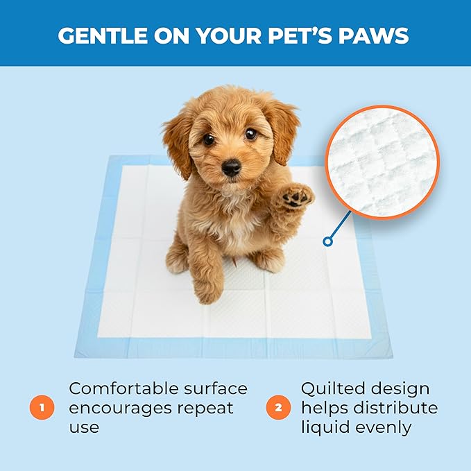 Best Pet Supplies XL (36 x 28 Inches) Puppy Pads 40 Count - Super Absorbent Dog Training Pads, Quick-Dry, Odor Control, Disposable Pee Pads, Leak-Proof Wee Wee Pads for Indoor Dogs – Baby Blue