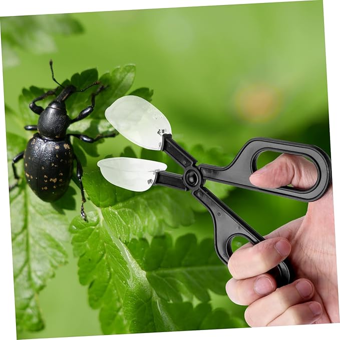 POPETPOP 3pcs Reptile Enclosure Feeding Clamp Lizard Food Clip Material Easy to Use for Tortoise Reptile Care