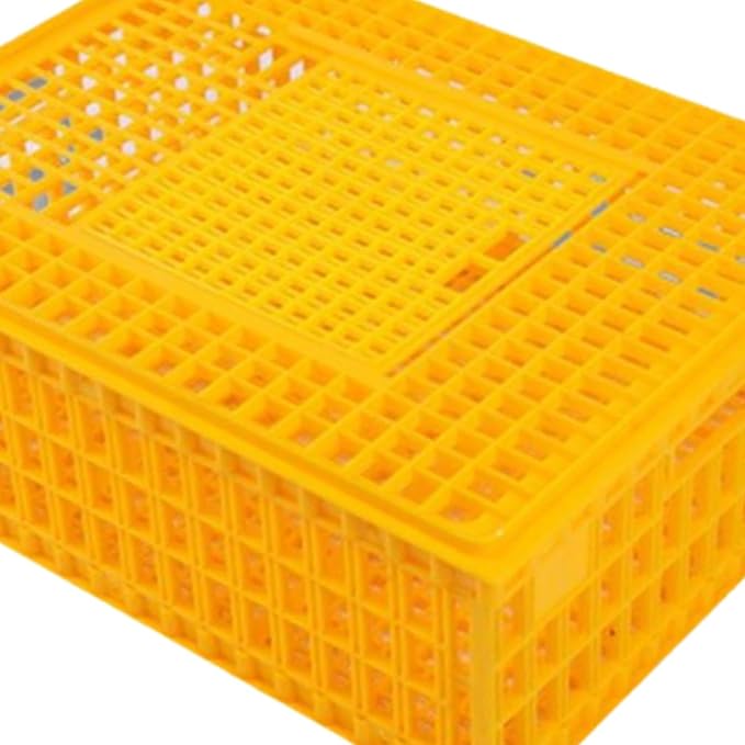 Poultry Crate for Transporting Birds, and Hamsters, Yellow