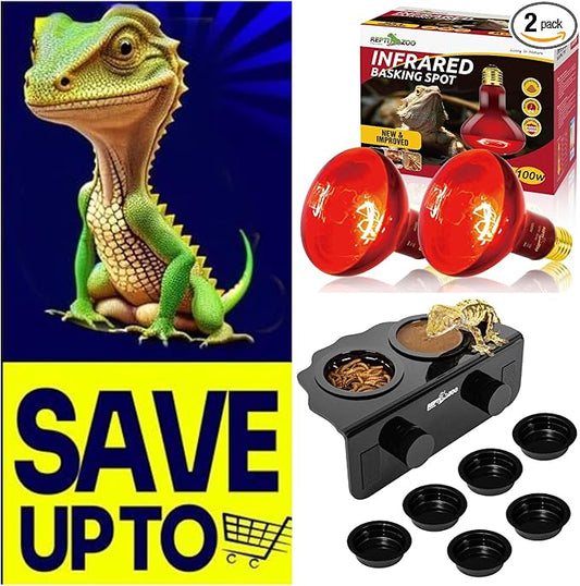 REPTI ZOO 2 Pack Infrared Heat Lamp with Gecko Feeding Ledge