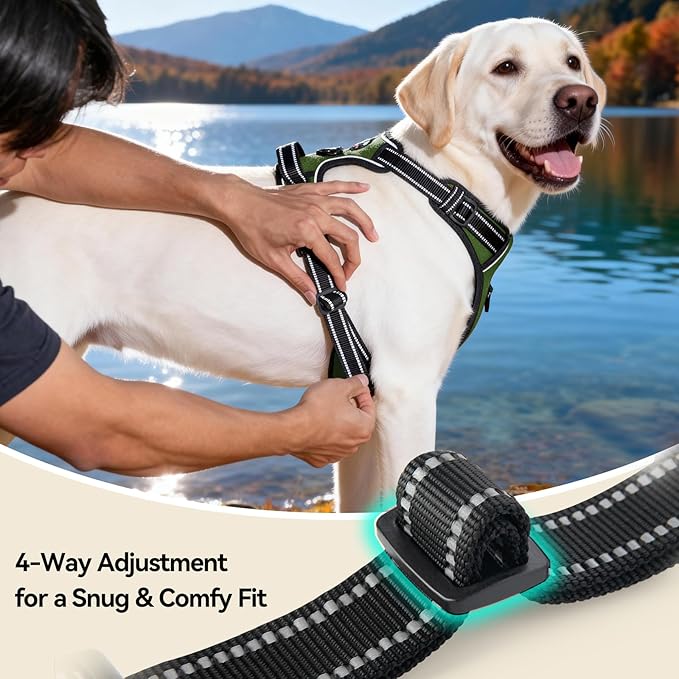 PHOEPET No Pull Dog Harness with Handle Reflective Padded Vest for Small Medium Large Dogs, Adjustable Puppy Harnesses with Front & Back Clip Easy Walking (S, Misty Green)