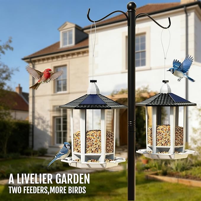 Birdream 2 Pack Solar Bird Feeders for Outdoors Hanging, Assembly Required, 1-Min Easy Setup, Wild Seed Feeders for Cardinals Chickadees and Finches