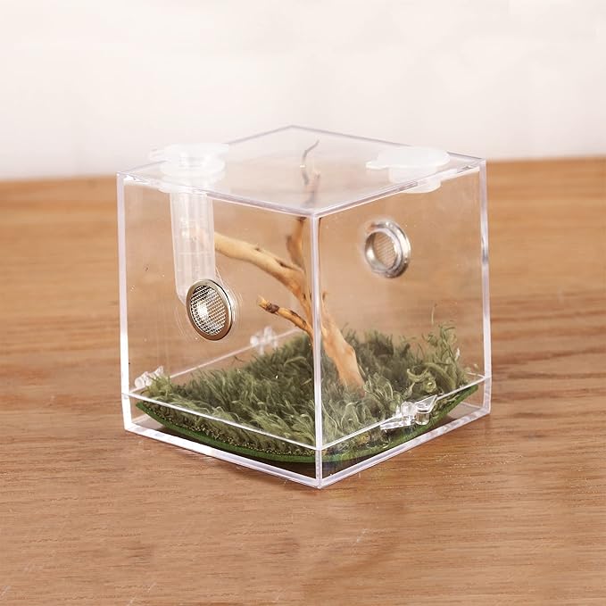 crapelles Jumping Spider Micro Big Habitat, Small Pet Insect Breeding Box, 360 Degree High Transparent Reptile Cage, Acrylic Case Mini Carrier for Amphibians, Feeding Container Enclosure Accessories