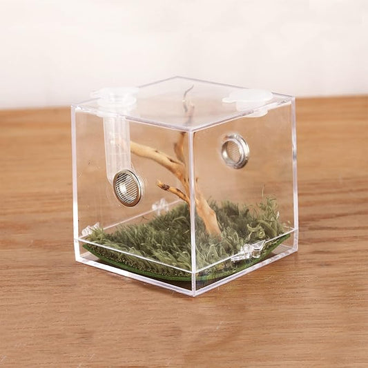 crapelles Jumping Spider Micro Big Habitat, Small Pet Insect Breeding Box, 360 Degree High Transparent Reptile Cage, Acrylic Case Mini Carrier for Amphibians, Feeding Container Enclosure Accessories