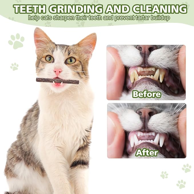 WOUSEDO 6 Pack Silvervine Sticks for Cat, Natural Catnip Toys - Image 5
