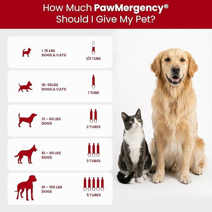 PawMergency – Activated Charcoal First Aid Kit Emergency Rescue for Dogs, Cats, Puppy & Pet Poison Kit, Camping Survival Remedy Essential, Oral Anti Diarrhea Digestive Absorb Toxins 5 Pack