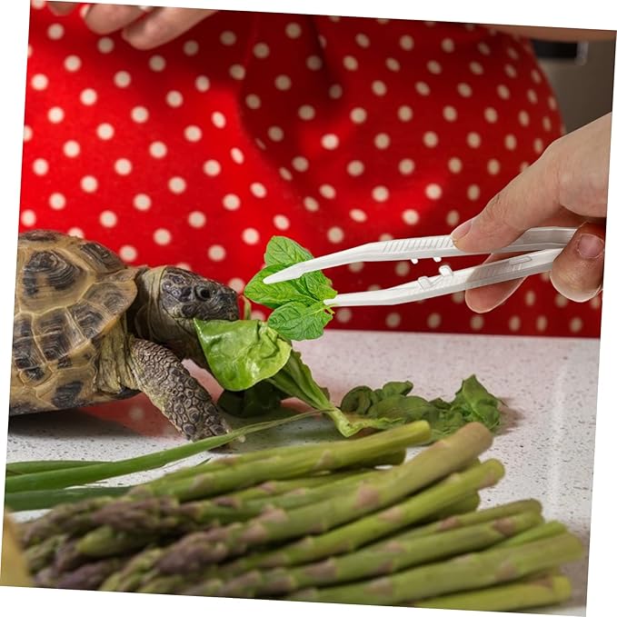 BESPORTBLE 2pcs Reptile Feeding Tweezers Clip Tweezers for Lizard Turtle and Frog Care Smooth Lightweight and Easy to Grip Reptile Feeder Tool
