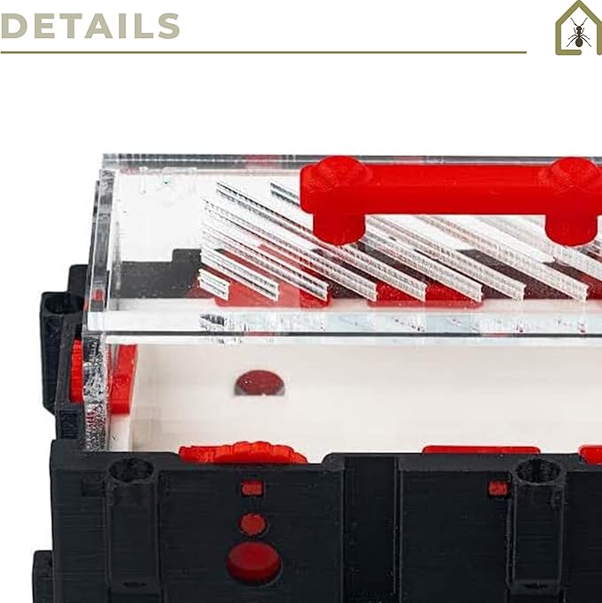 Anthouse.ES - Foraging Box for Modular 3D Ant Farms - QBIK Duo - Ideal Terrarium for Mini Colonies - Ergonomic and Easy-to-Expand System - 6.78x12.78x10 cm