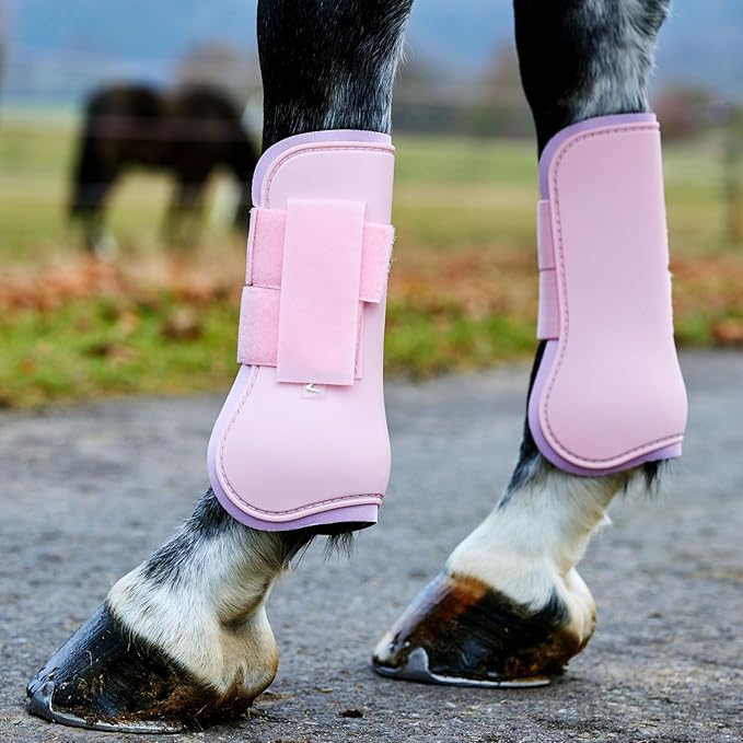 HORZE Chicago Protective Horse Tendon Boots - Lightweight Open Front Boots for Jumping, Trail Riding, and Turnout (Pair) - Lady Light Pink - Pony