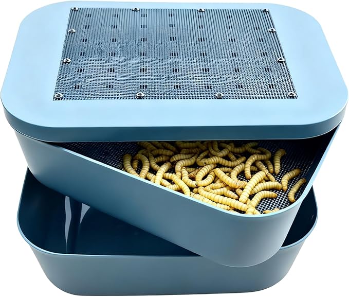 Mealworm Breeding Kit, Live Feeder Worm Farm for Reptiles, Bearded Dragons, Leopard Geckos, Birds & Chickens