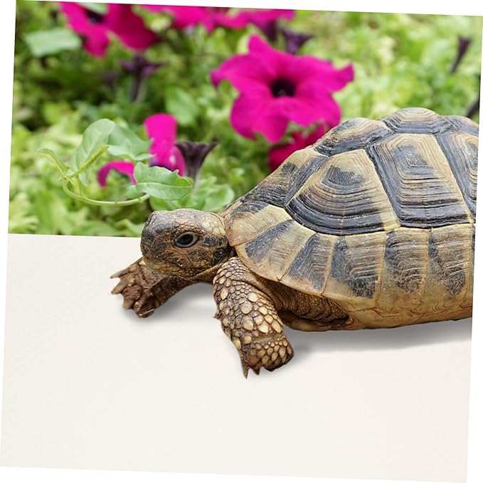 Leopard Gecko Tank Reptile Bedding Terrarium Carpet Snake Terrarium Bedding Bearded Dragon Accessories