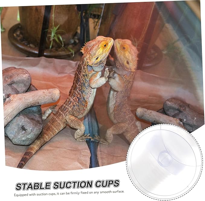 YARNOW 1set Reptile Humidifier Extension with Cups Hose for Easy Installation Cleaning Compatible with Reptile Humidifiers Aquatic Environments