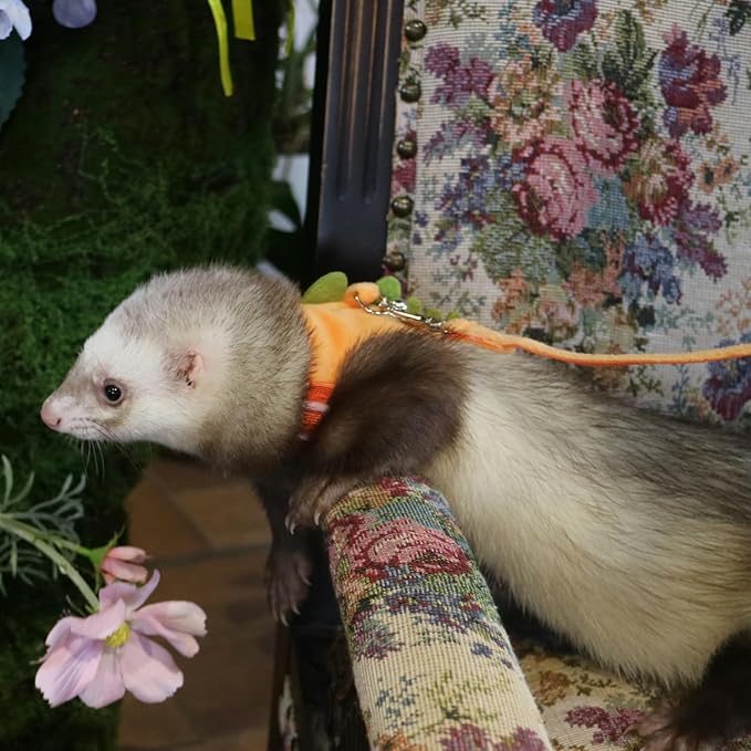 Bearded Dragon Harness and Leash Set - Soft Fleece Dinosaur Vest with Safe Bell Adjustable Lizard Traction Rope Escape Proof Outdoor Walking Training Leash for Ferret Rat Kitten Puppy (Orange)