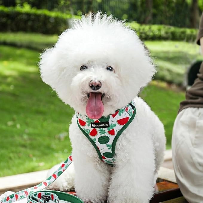 Dog Harness and Leash Set, Adjustable Dog Harness, Dog Leash, No Pull No Choke Puppy Harnesses for Walking Training for Small Medium Pet (Green Watermelon, M(Chest 15.7-22.1", Neck 12-15"))