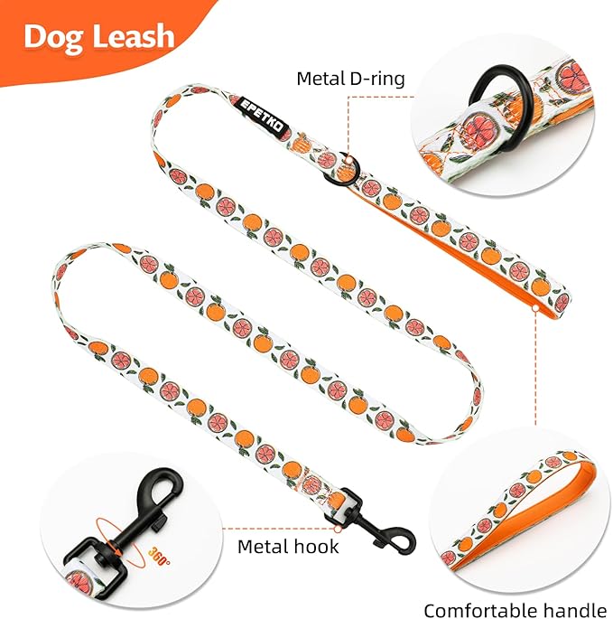 Small Dog Harness and Leash Set of 6, No Pull Soft Lightweight Mesh Puppy Harness， Adjustable Cute Floral Pattern Pet Harness for Small Medium Dogs (Orange, XS)