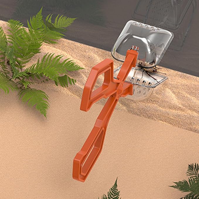 Creature Captures Tongs for Reptiles Care Feeder Pliers Clear Ergonomic Tool Gentle Feeding Easy Terrariums Tongs