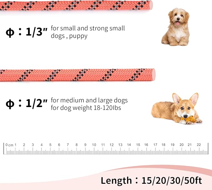 Long Dog Leash for Training 50Ft-Reflective Nylon Rope with Swivel Hook-Recall Agility Lead for Large Small Medium Dogs Outside Walking Hiking-Orange