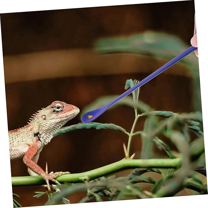2pcs Reptile Feeding Spoon Long Handle Stainless Steel Pet Food Tools for Lizards Convenient Feeding Supplies for Small Animals Blue