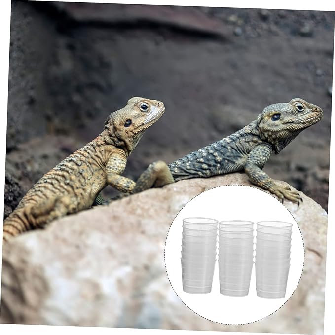 DECHOUS 20Pcs Reptile Food Measuring Cups for Lizard and Gecko Feeding Accurate Water and Food Containers for Pets Convenient Daily Use