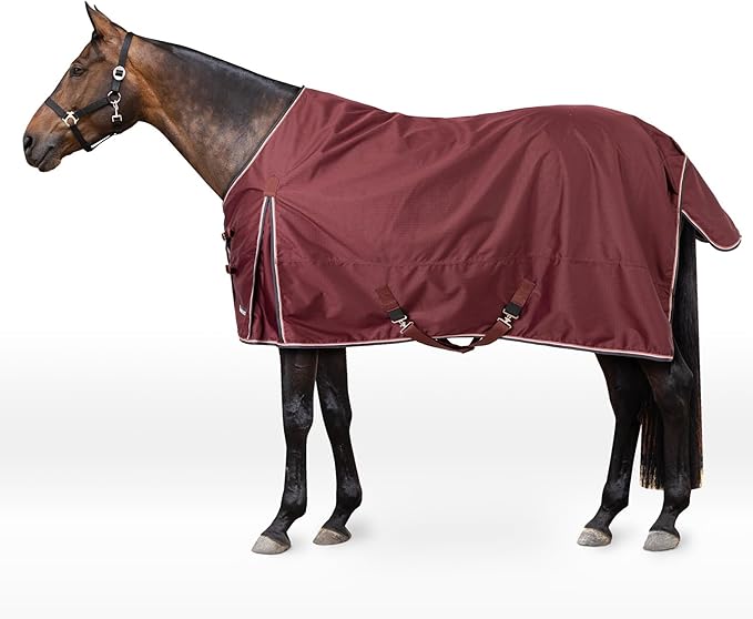 HORZE Glasgow Light Weight Waterproof Turnout Horse Sheet (No Fill) - Burgundy - 69 in