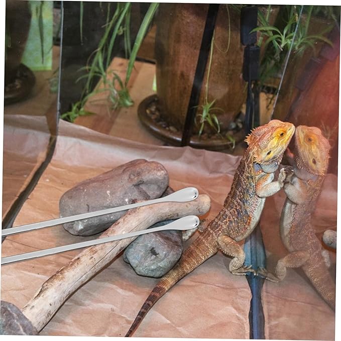 Abaodam 5pcs Lightweight Reptile Food Spoons for Lizard Feeding Portable Feeding Tools for Small Animals for Reptile Tanks and PET Care