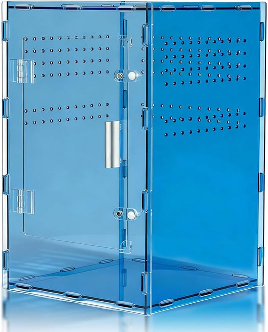 8x8x12 Acrylic Reptile Tank – Cyberpunk Blue Reptile Enclosure Terrarium Inspired by New Caledonia Rainforest – Color Habitat for Geckos & Small Reptiles