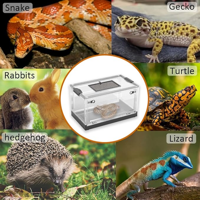 Dutiplus Large Snake Reptile Tank Amphibians Habitat Cages Sliding Screen Top for Lizard,Gecko, Frog, Hamster Animals(21.65"x12.6"x12.2") (Black)
