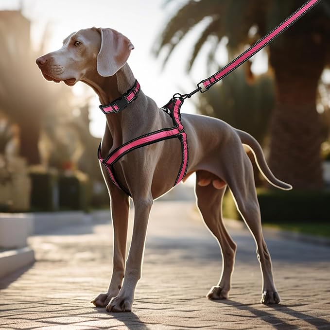 Mile High Life Night Reflective Double Adjustable Band Nylon Small Puppy Pet Dog Combo Collar Leash and Harness Set (Reflective Edge Pink, Mediun (Pack of 3))
