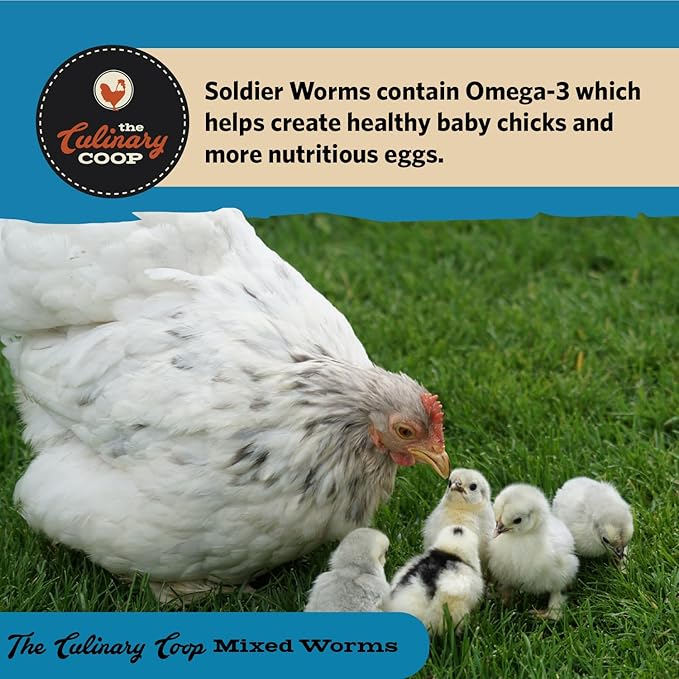 Fluker's Culinary Coop Bulk Dried Mealworms & Soldierworms, 5lbs-Premium Organic Non-GMO Dried Worm Mix for Chickens-High Protein & Omega 3 Chicken Feed for Wild Birds & Chicken Treats for Laying Hens