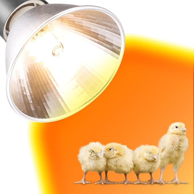 3 Pack Replacement G9 Basking Spot Heat Lamp for Chickens, Tiny Clear Bulbs Beads (25 Watt)