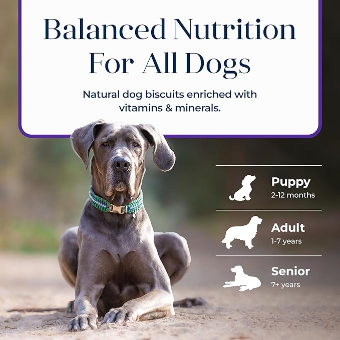 Blue Buffalo Basics Dog Biscuits, Skin & Stomach Care Crunchy Dog Treats, Turkey Recipe, 6-oz Bag (Pack of 6)