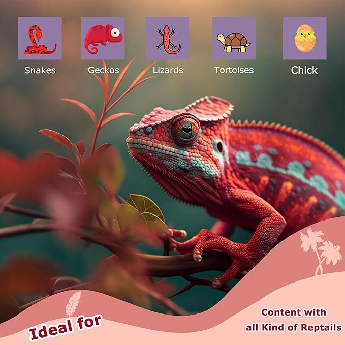 75W Red Infrared Basking Spot Light Bulbs for Reptiles & Amphibians, Heat Lamp for Bearded Dragons, Turtles, Snakes, Chicks, Terrarium Heating and Brooder Warmth, 2 Pack