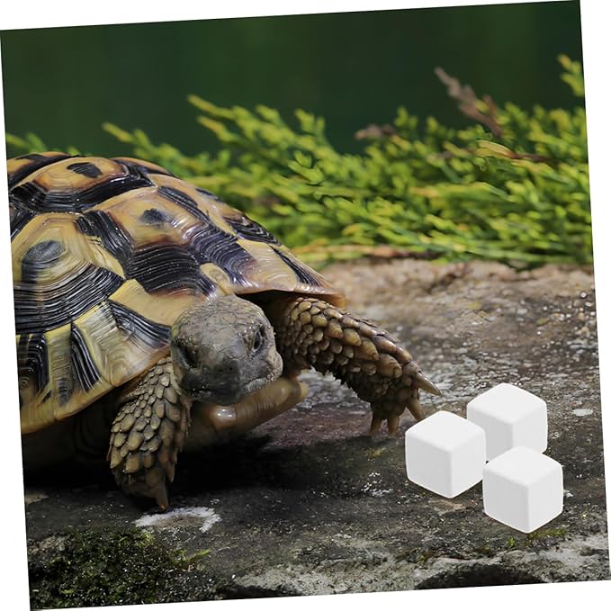 TOYANDONA 12pcs Reptile Natural Blocks for Crab and Reptile Habitats Essential Supplement Healthy Enclosure Accessories for