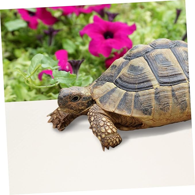 Toyvian Reptile Terrarium Carpet Bearded Dragon Substrate Lizard Tank Mat Eva Soft Bedding Portable for Outdoor