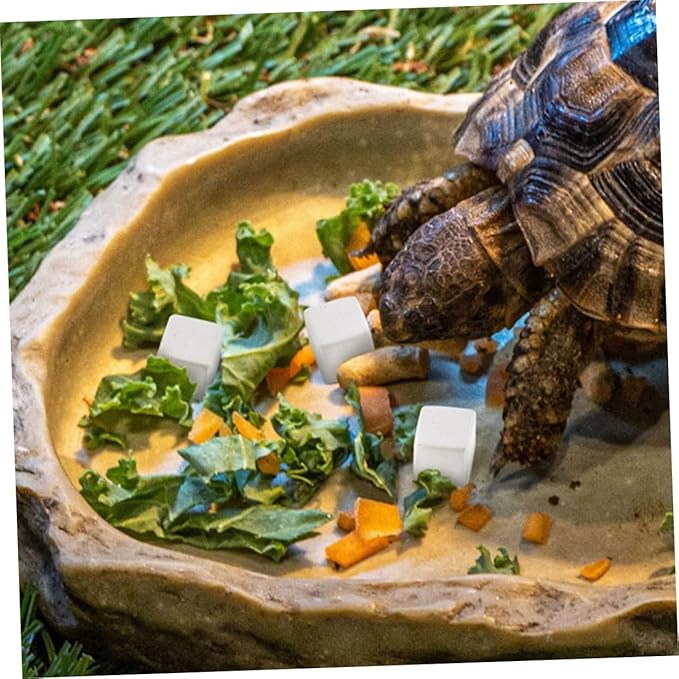 UPKOCH 30pcs Natural for Turtles Tortoises Lizards Frogs and Chameleons Essential Trace Elements to Enhance Pet Health and Promote Growth Aquatic Habitats