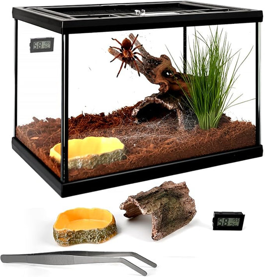 5-in-1 Small Reptile Glass Terrarium Kit 12x8x8in Full View Reptile Enclosure Tank w/Thermo-Hygrometer, Hide & Tongs for Jumping Spiders, Tarantulas, Hermit Crabs & Dwarf Geckos
